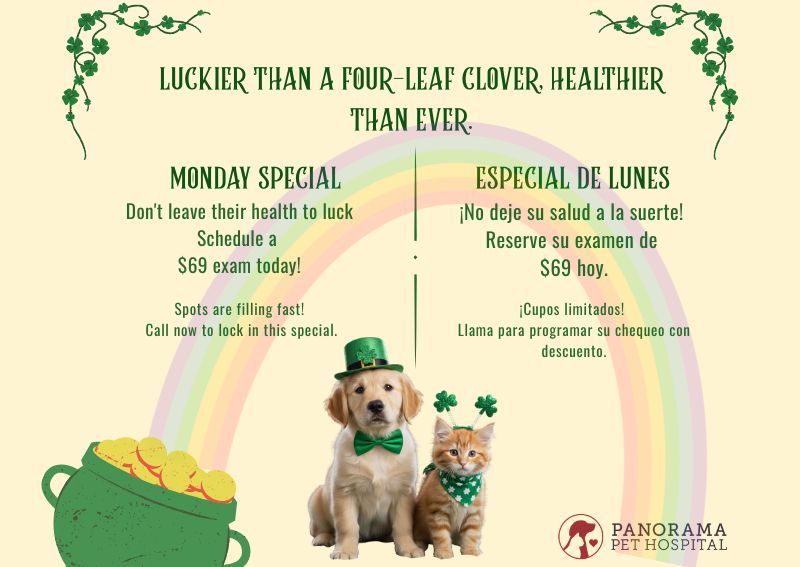 Carousel Slide 2: Monday Special!