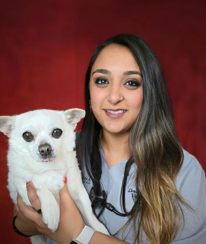 Dr. Rashi Gupta, DVM
